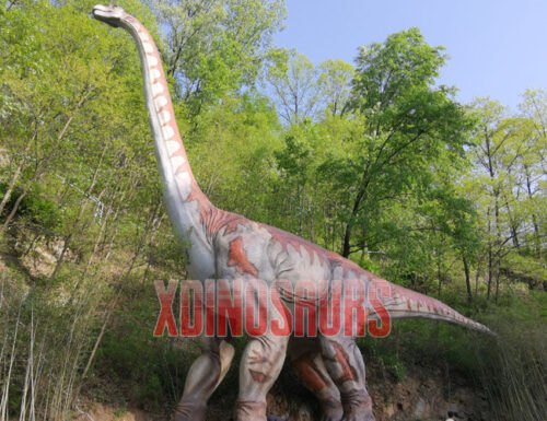 Huge Brachiosaurus Model