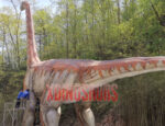 Huge Brachiosaurus Exhibits