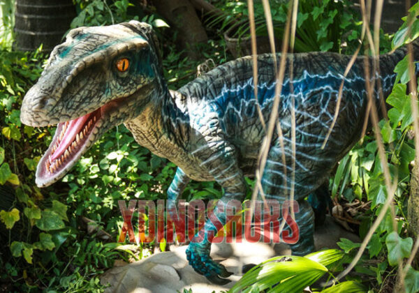 Jurassic Raptor Model