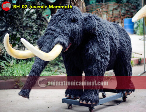 Juvenile Mammoth Model