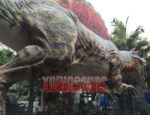Large Spinosaurus Replica