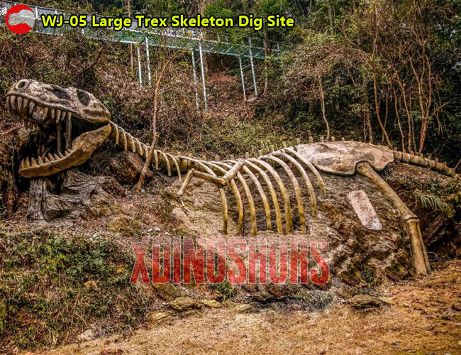 Large Trex Skeleton Dig Site