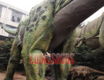 Life Size Apatosaurus Replica