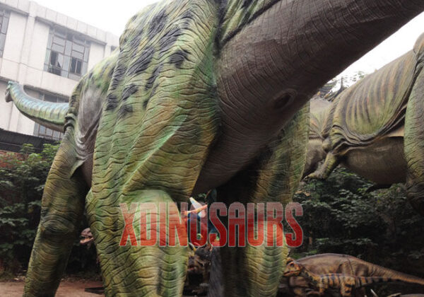 Life Size Apatosaurus Replica