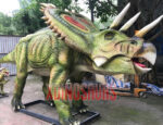 Life Size Mojoceratops Model