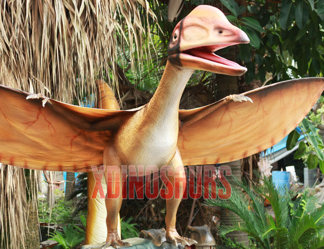 Pterosaur Model