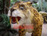 Life Size Smilodon Model