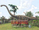Life Size Omeisaurus Model