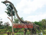 Full Size Omeisaurus Model