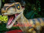 Lifelike Raptor Model