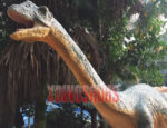 Lifelike Shunosaurus Model