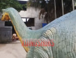 Lifelike Shunosaurus Model