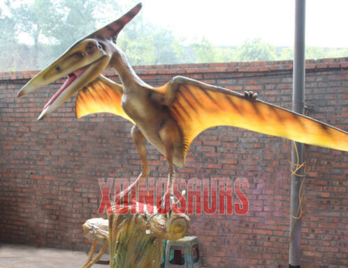 Pterosaur Model