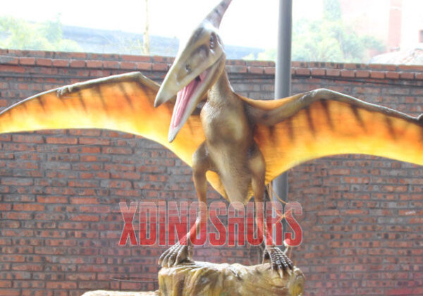 Customized Pterosaur Model