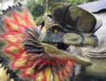 Real Dilophosaurus Model