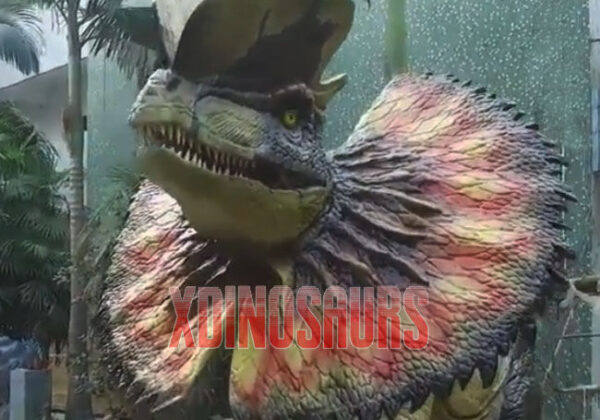 Real Dilophosaurus Model