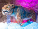 Smilodon Replica