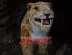 Smilodon Replica