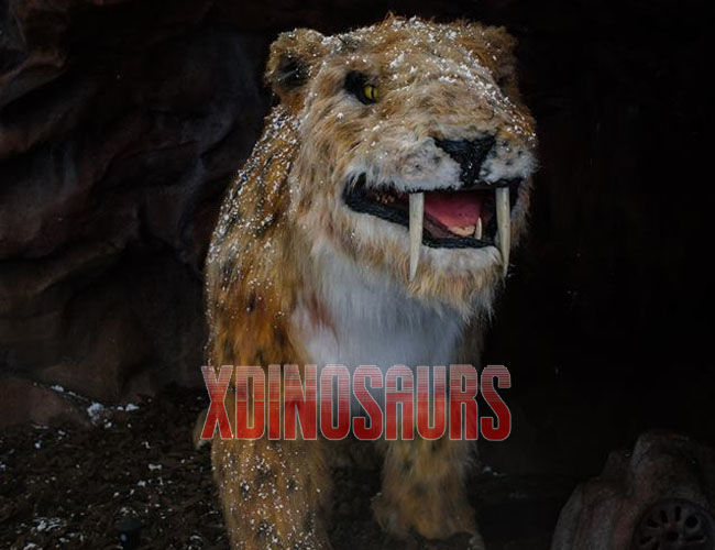 Full Size Animatronic Smilodon