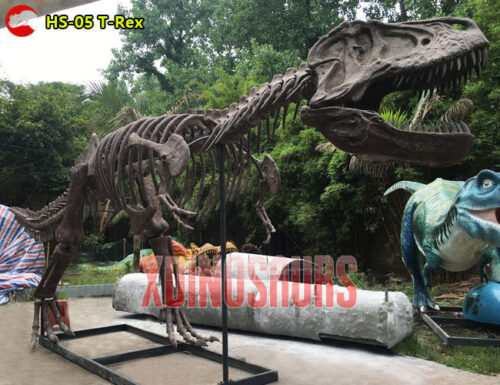 Trex Fossil Replica