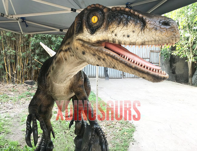 Jurassic Velociraptor Model