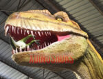 Yangchuanosaurus Model