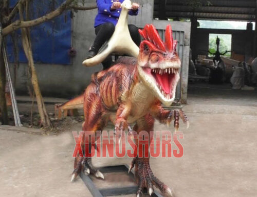 Amused Dilophosaurus Ride