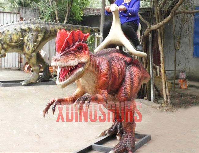 Amused Dilophosaurus Ride