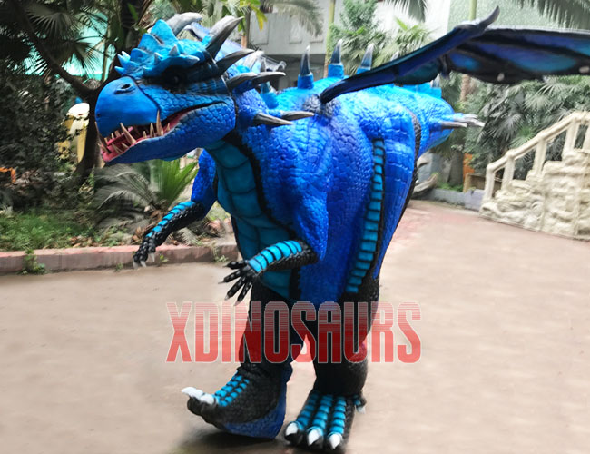 Custom Design Dragon Suit