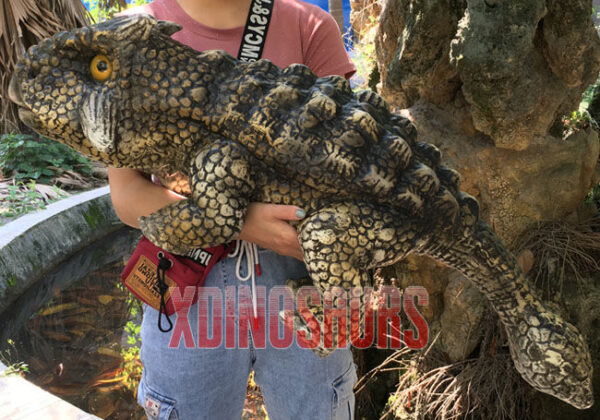 Baby Ankylosaurus Prop