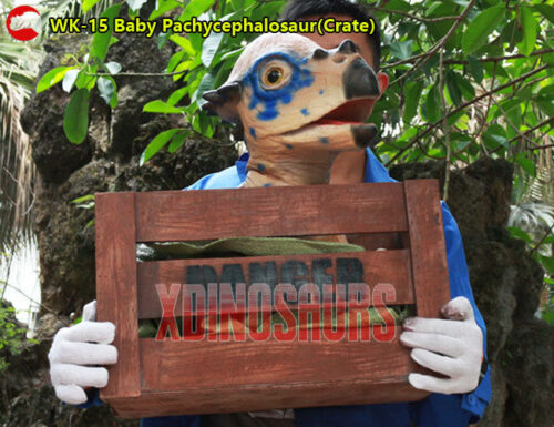 Baby Pachycephalosaur Puppet in Crate