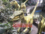 Coelophysis Family Models