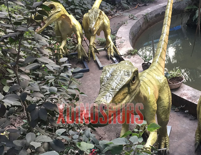 Coelophysis Group Replicas