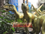 Coelophysis Family Models