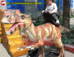 Custom-Made Monolophosaurus Ride