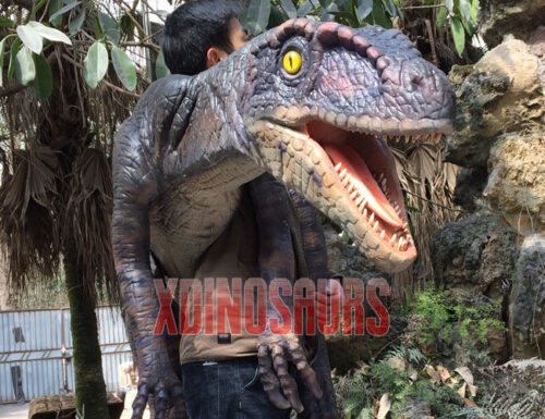 Custom Raptor Shoulder Prop