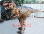 Custom Trex Costume