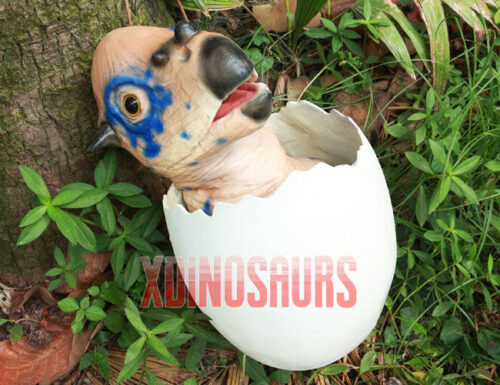 Customized Pachycephalosaur Prop