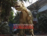 Iguanodon Model