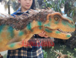 Juvenile Tyrannosaurus Rex Puppet