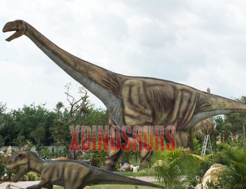 Large Ruyangosaurus Replica
