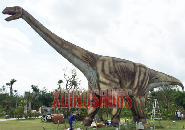 Large Ruyangosaurus Replica