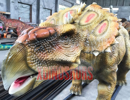 Life Size Pachyrhinosaurus Model