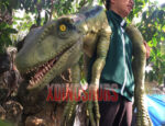 Lifelike Raptor Prop