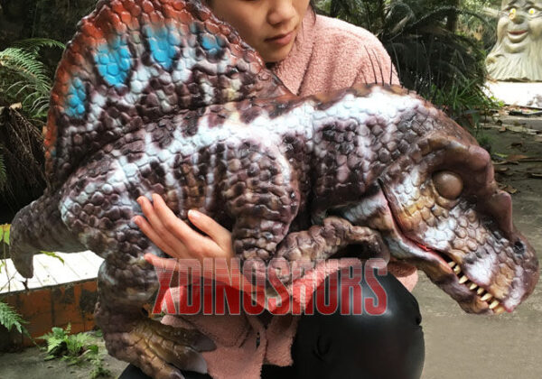 Lifelike Spinosaurus Prop