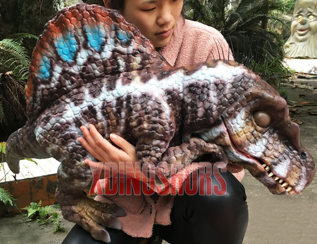 Lifelike Spinosaurus Prop