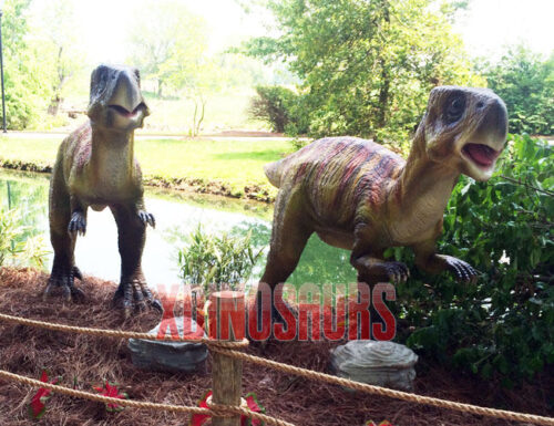 Psittacosaurus Group Models