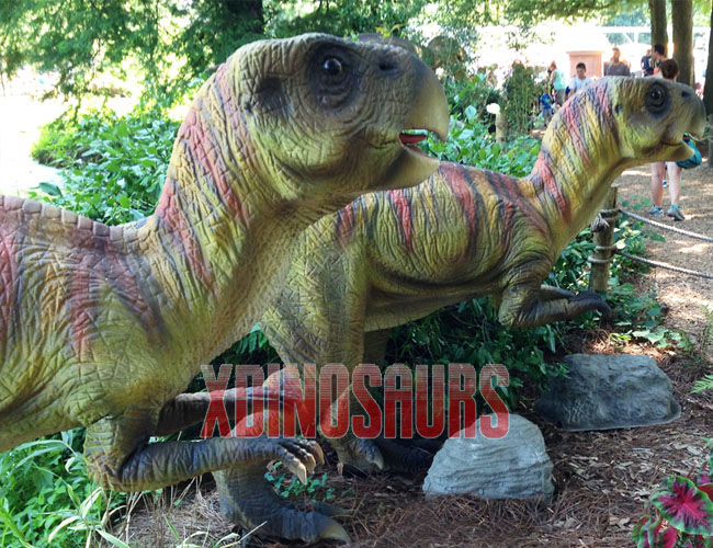 Psittacosaurus Models