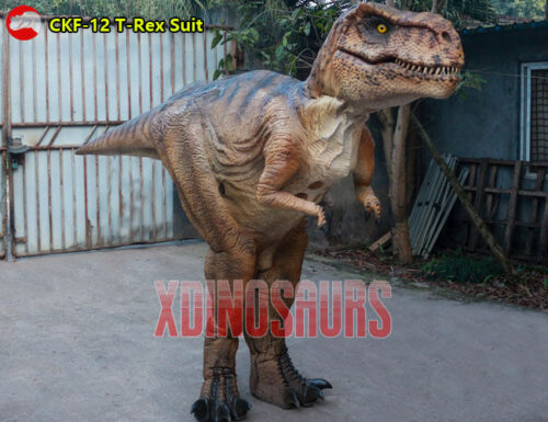 Real Size Trex Costume