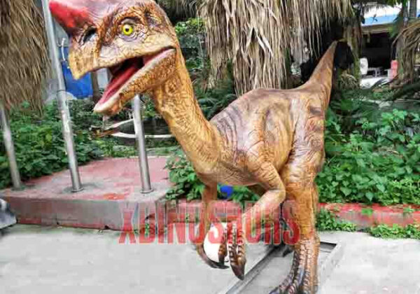 Robotic Oviraptor Model